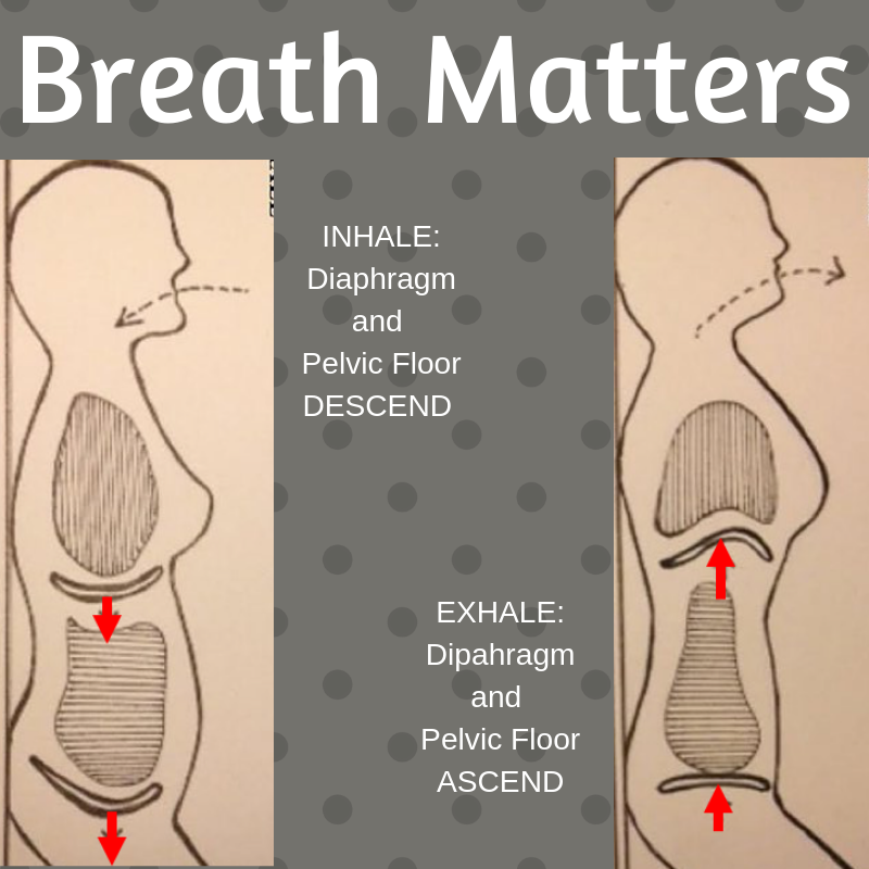 breathing, 360, kegels, contractions, piston, relax, breath