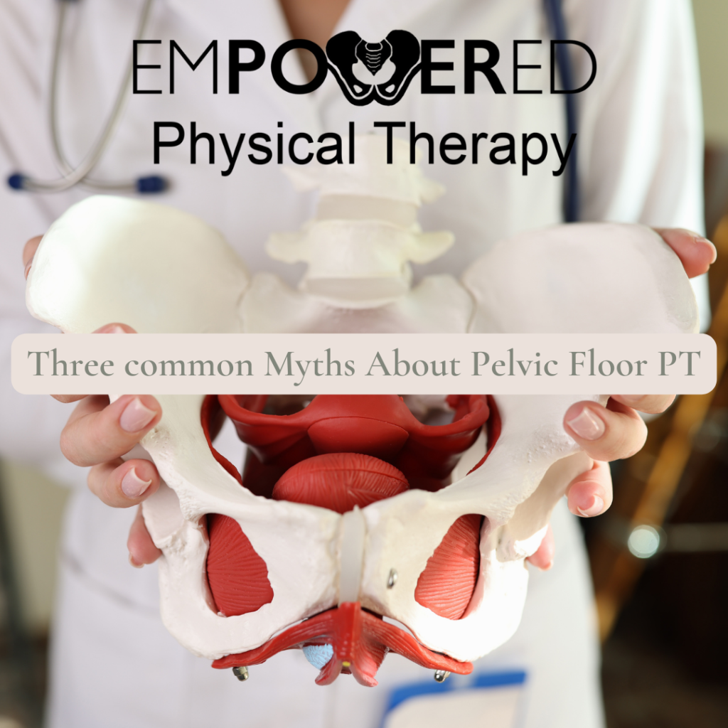 Pelvic floor therapy, Pelvic therapy, Physical therapy